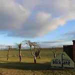 Blickfang