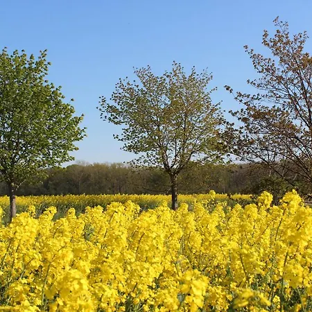 Apartament Blickfang *