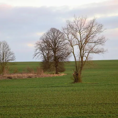 Blickfang Pepelow