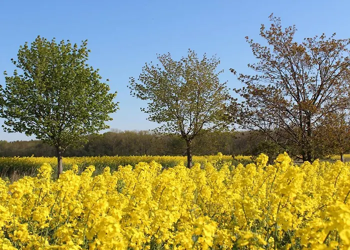 Blickfang Lejlighed *